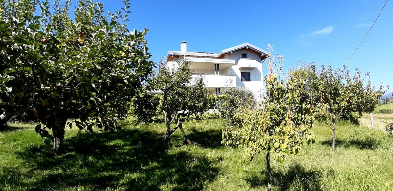 Al Settimo Miglio, Alloggio Agrituristico Villa Treppo Grande Buitenkant foto
