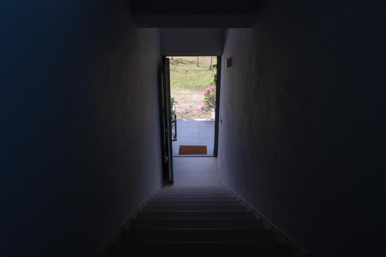 Al Settimo Miglio, Alloggio Agrituristico Villa Treppo Grande Buitenkant foto